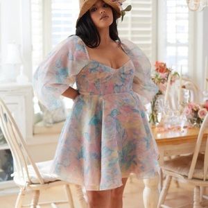 Selkie The Stepmom Princess Dress